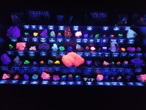 Museo de Luminiscencia (Sala Negra)